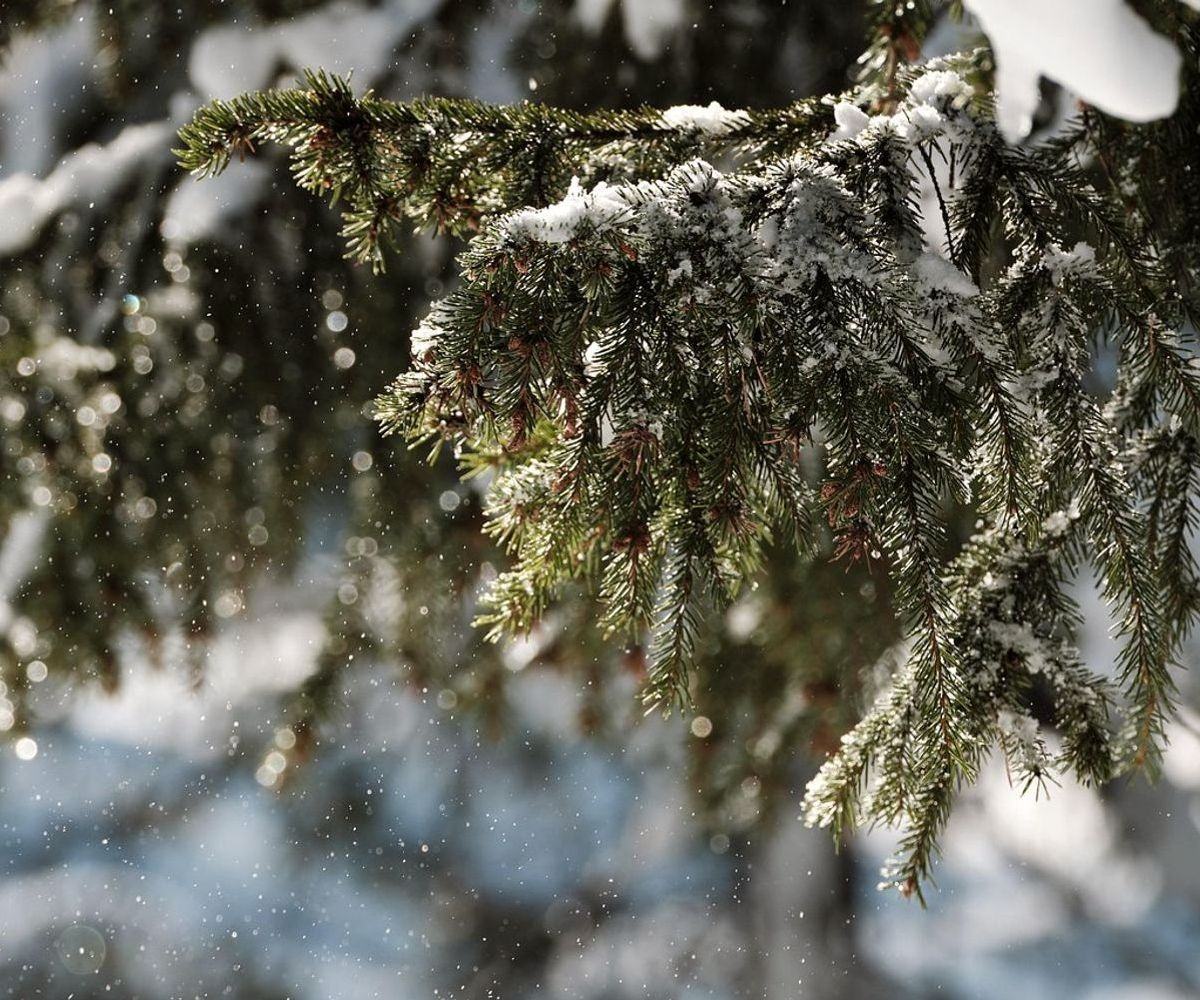 Jaqueta de inverno pendurada em exibição com detalhes de proteção contra frio